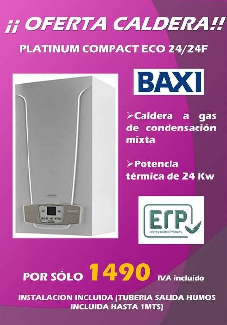 Oferta caldera Pigma Green Ebus