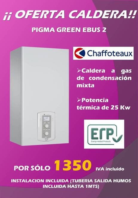 Oferta caldera Platinum Compact Eco